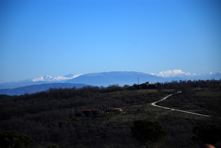 Clicca qui per vedere l'immagine in dettaglio